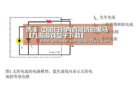 九游官网下载