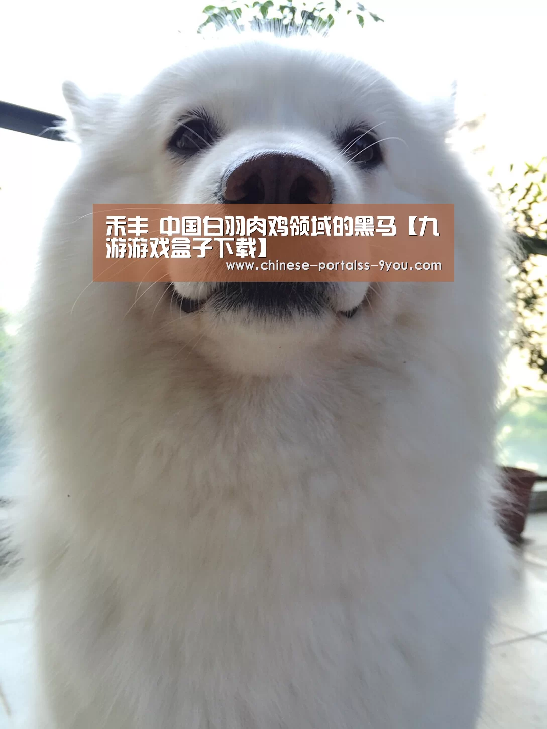 九游官网下载
