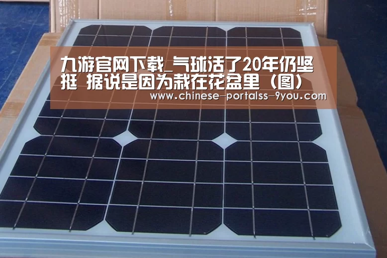 九游游戏盒子下载