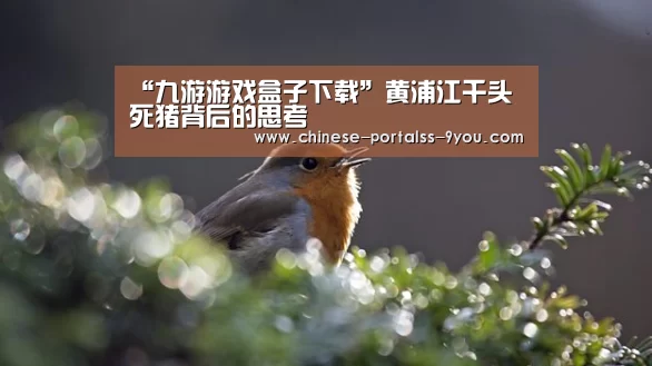 九游游戏盒子下载