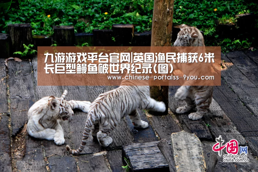 九游游戏中心手机版
