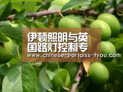 九游官网下载