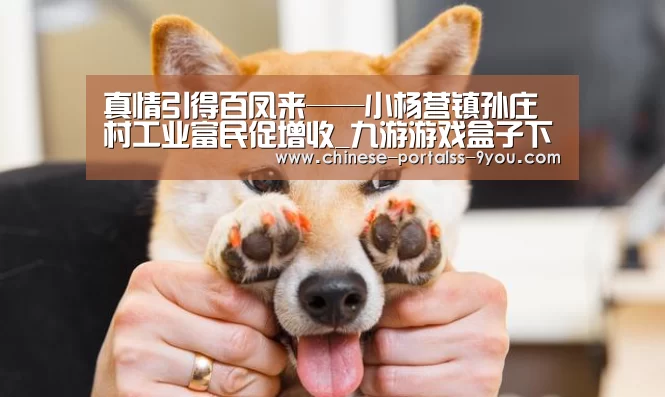 九游游戏平台官网